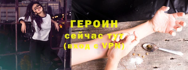 гашик Алексин