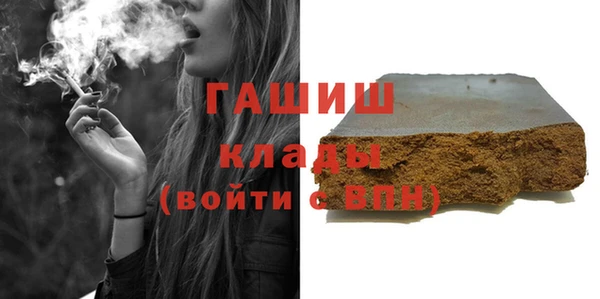 гашик Алексин