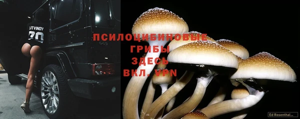 jwh Алзамай
