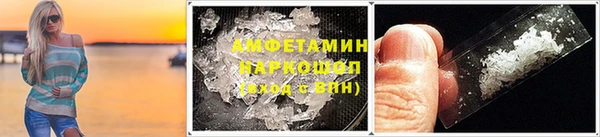 гашик Алексин