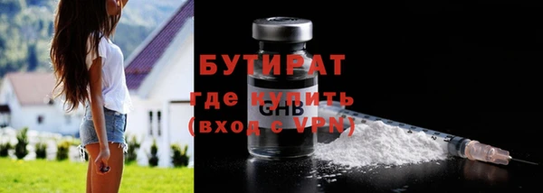 гашик Алексин