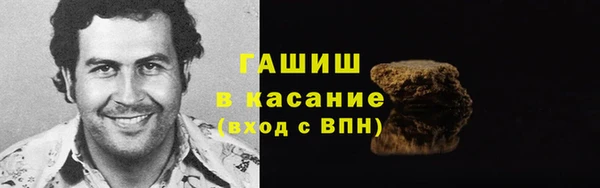 гашик Алексин