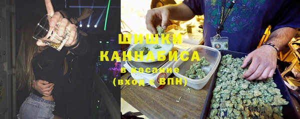 гашик Алексин