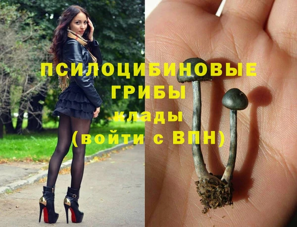 jwh Алзамай