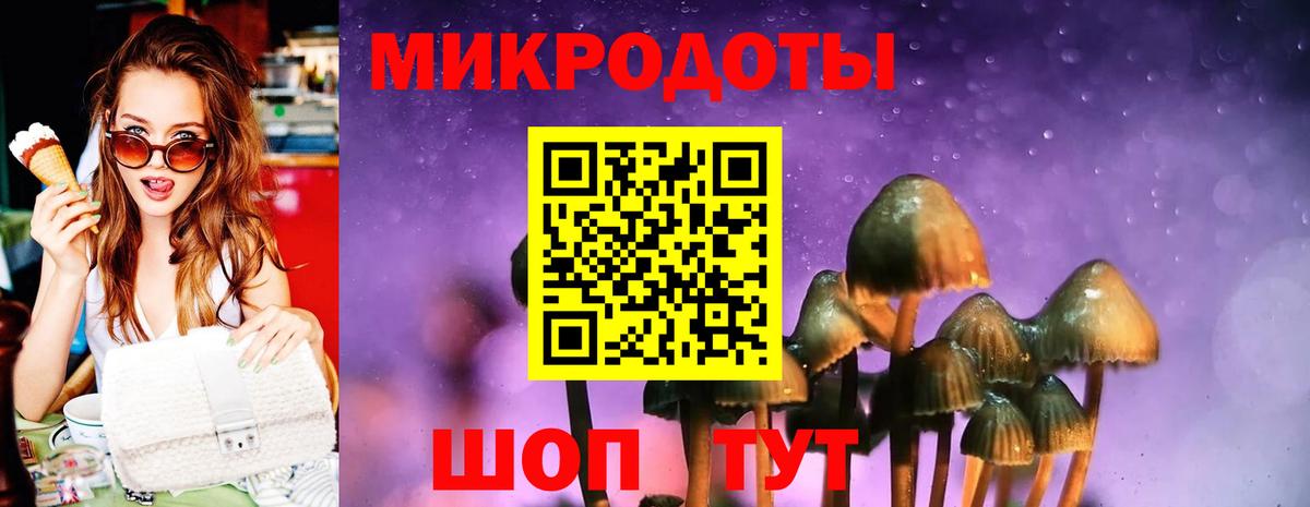 Псилоцибиновые грибы мицелий Ярцево